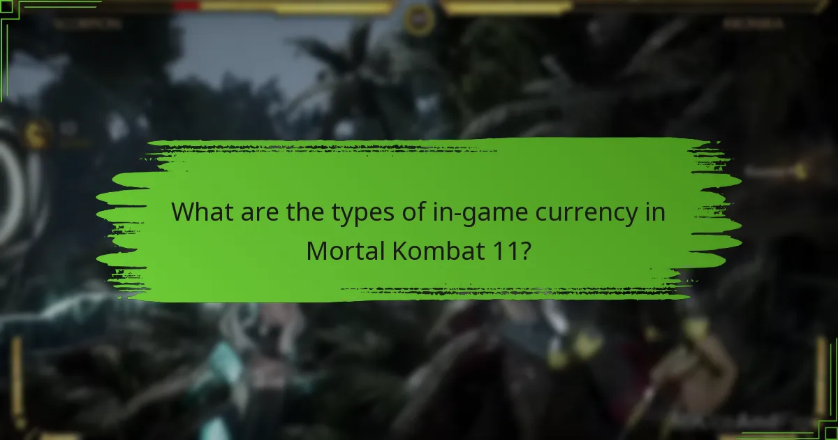 What items are available in the Mortal Kombat 11 shop?